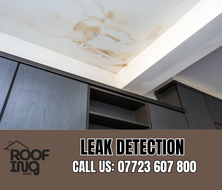 Roof leak detection and repair in Treverbyn
